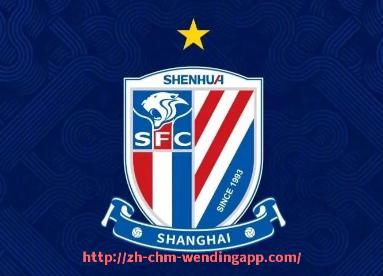 问鼎娱乐官网-2001年西甲积分榜及联赛球队成绩回顾