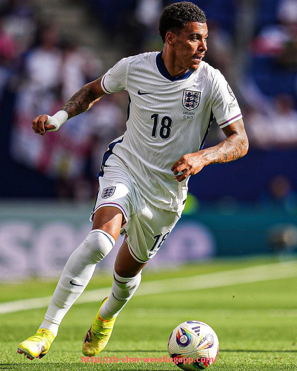 问鼎娱乐官网-意甲主要足球俱乐部全称及简称一览