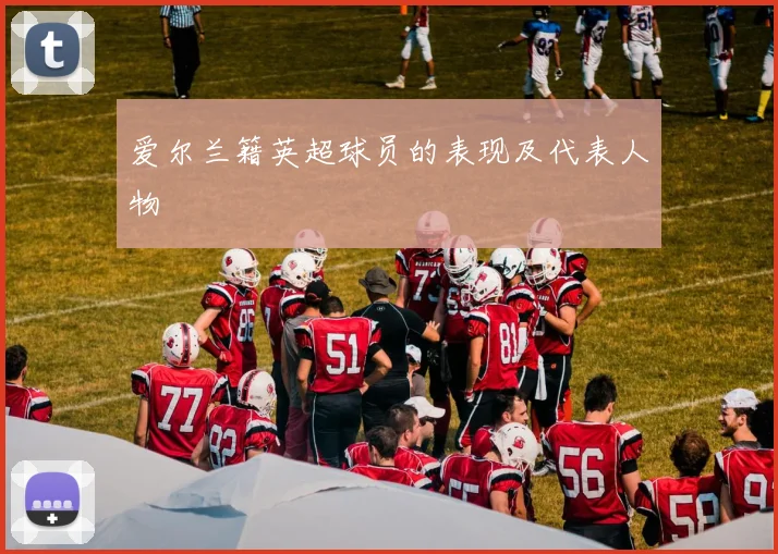 爱尔兰籍英超球员的表现及代表人物