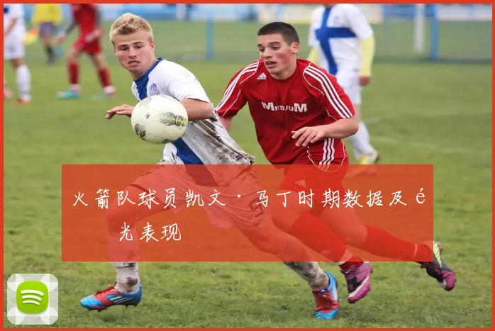 火箭队球员凯文·马丁时期数据及高光表现