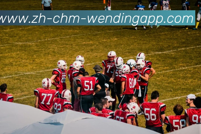 问鼎娱乐平台生态图