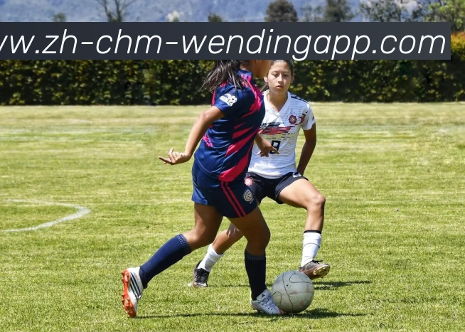 问鼎娱乐APP 封面图